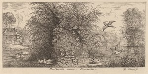 Rusticula minor, Snipe av Albert Flamen