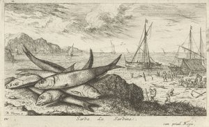 Sardiner på stranden Sarda, La Sardine. (tittel på objekt) Fisk og andre sjødyr - saltvanns første serie (serietittel) Diverse Especes de Poissons de mer (serietittel) av Albert Flamen