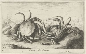 To krabber på stranden Kreft, Le Cancre (tittel på objekt) Fisk og andre sjødyr - saltvanns første serie (serietittel) Diverse Especes de Poissons de mer (serietittel) av Albert Flamen