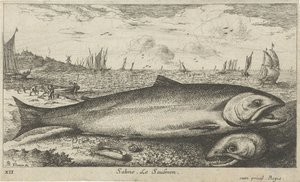 To laks på stranden Salmo. Le Saulmon (tittel på objekt) Fisk og andre sjødyr - saltvanns første serie (serietittel) Diverse Especes de Poissons de mer (serietittel) av Albert Flamen