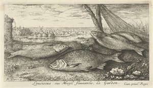 Fire mort i et fiskegarn Leuciscus siue Mugil fluuiatilus. Le Gardon. (tittel på objekt) Fisk og andre sjødyr - ferskvanns første serie (serietittel) Diverse Especes de Poissons d
