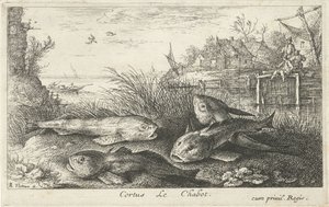 Fire chubs på en elvebredd Cortus LeChabot. (tittel på objekt) Fisk og andre sjødyr - ferskvanns andre serie (serietittel) Seconde partie de Poissons d