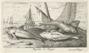 Fire røde multer på stranden Rubellio Le Rouget. (tittel på objekt) Fisk og andre sjødyr - saltvanns andre serie (serietittel) Poissons de mer (serietittel) av Albert Flamen