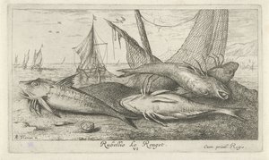 Fire røde multer på stranden Rubellio Le Rouget. (tittel på objekt) Fisk og andre sjødyr - saltvanns andre serie (serietittel) Poissons de mer (serietittel) av Albert Flamen