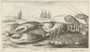 Hummer på stranden Cammarus. LeHomard (tittel på objekt) Fisk og andre sjødyr - saltvanns første serie (serietittel) Diverse Especes de Poissons de mer (serietittel) av Albert Flamen