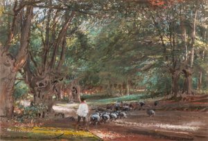 Burnham Beeches (akvarell og kroppsfarge) av Albert Goodwin