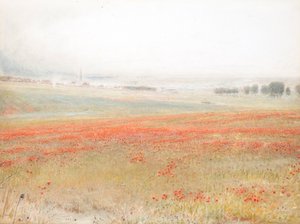 Ugresset. Valmuer i mais. Salisbury av Albert Goodwin