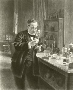 Dr Louis Pasteur i laboratoriet hans (gravyr) av Albert Gustaf Aristides Edelfelt