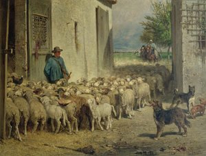 Gå tilbake til sauefolden, 1860
