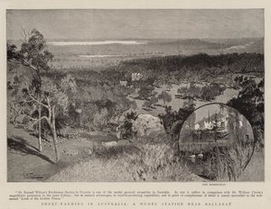 Saueoppdrett i Australia, en modellstasjon nær Ballarat