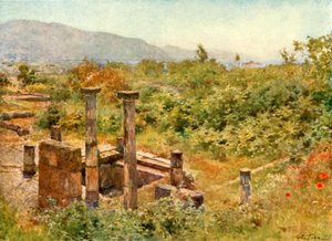 Utsikt fra Pompeii av Alberto Pisa