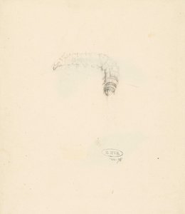 Studieblad met rups, Lasiocampa Quireifolia av Albertus Steenbergen
