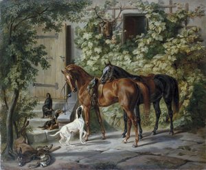 Hester på verandaen