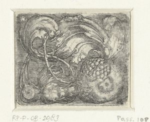 Granateple og bladranker av Albrecht Altdorfer