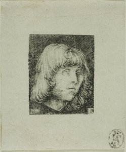 Leder for en ung mann av Albrecht Altdorfer