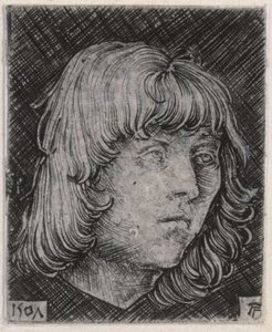 Hode av en ung mann av Albrecht Altdorfer