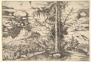 Landskap med dobbel gran, ca. 1521-22. av Albrecht Altdorfer