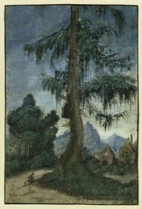 Landskap med gran, ca 1522. av Albrecht Altdorfer
