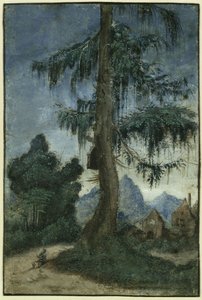 Landskap med gran av Albrecht Altdorfer