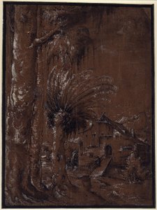 Landskap med vannmølle av Albrecht Altdorfer