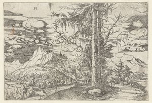 Landskap med dobbel gran av Albrecht Altdorfer