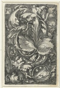 Ornament met bladranken av Albrecht Altdorfer