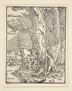 The Child Jesus with St. Christopher, fra serien The Fall and Redemption of Man av Albrecht Altdorfer