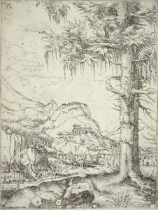 Den store gran, ca.1520 av Albrecht Altdorfer