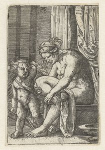 Venus etter badet av Albrecht Altdorfer
