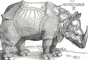 Et neshorn, 1515, 1906 av Albrecht Dürer