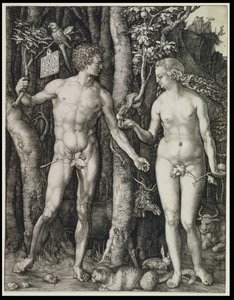  av Albrecht Dürer