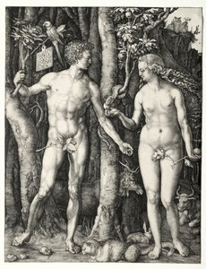 Adam og Eva av Albrecht Dürer
