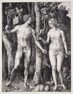  av Albrecht Dürer