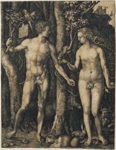  av Albrecht Dürer