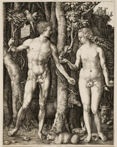  av Albrecht Dürer