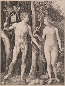  av Albrecht Dürer