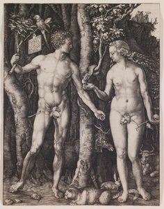  av Albrecht Dürer