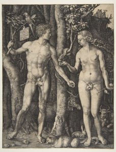  av Albrecht Dürer