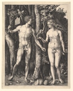  av Albrecht Dürer