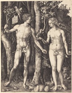  av Albrecht Dürer