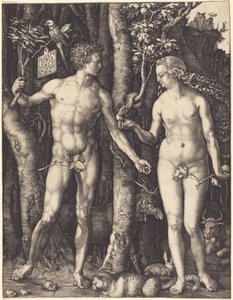  av Albrecht Dürer