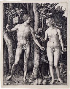  av Albrecht Dürer