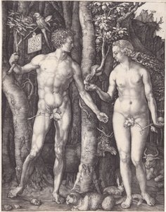  av Albrecht Dürer