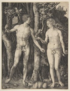 Adam og Eva av Albrecht Dürer