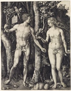 Adam og Eva av Albrecht Dürer