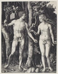 Adam og Eva av Albrecht Dürer