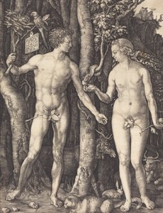 Adam og Eva, 1504. av Albrecht Dürer