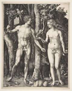Adam og Eva, 1504 av Albrecht Dürer