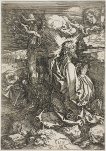 Kval i hagen av Albrecht Dürer