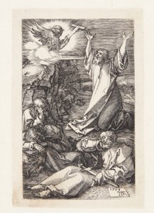 Kval i hagen av Albrecht Dürer